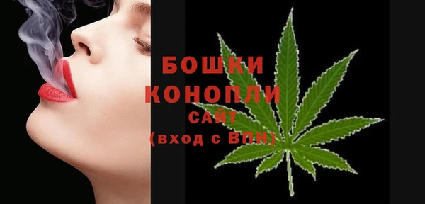 spice Каменка