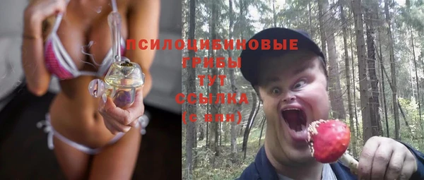 а пвп мука Инта