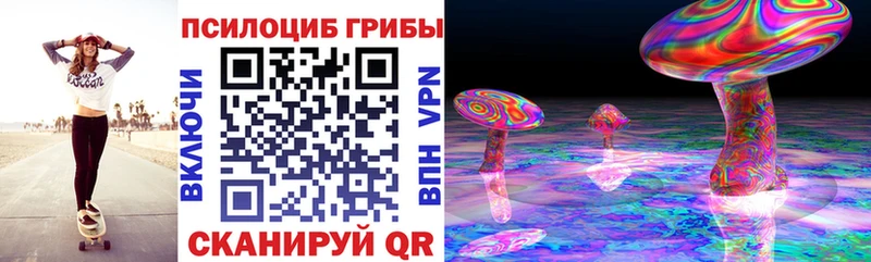 Купить где  Дно  Галлюциногенные грибы ЛСД 